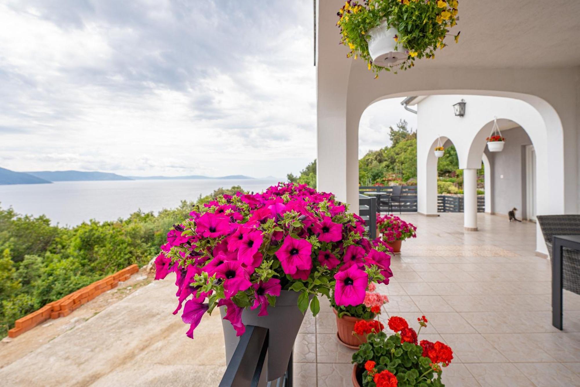 Villa Paradiso In Plomin - Istrien Екстер'єр фото